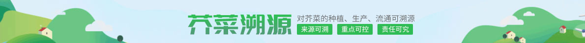 芥菜溯源