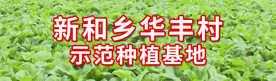home页面基地1