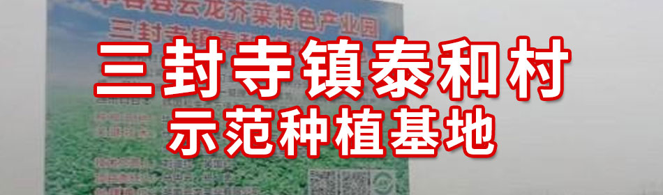 home页面基地2