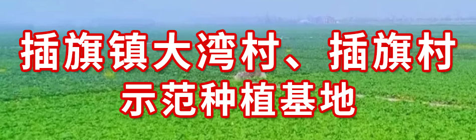 home页面基地3